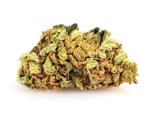 infiorescenza sweet berry
