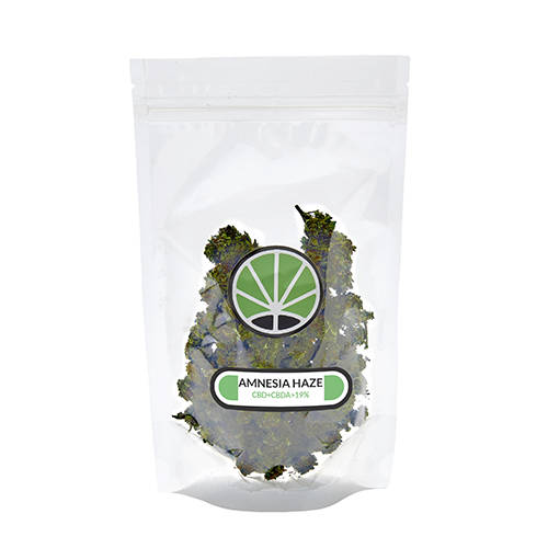 amnesia-haze-erba-legale amnesia-haze-erba-legale