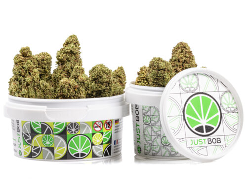 barattolo cime bubblegum small cannabis cbd