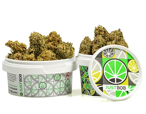 barattolo-cime-bubblegum-cannabis-light