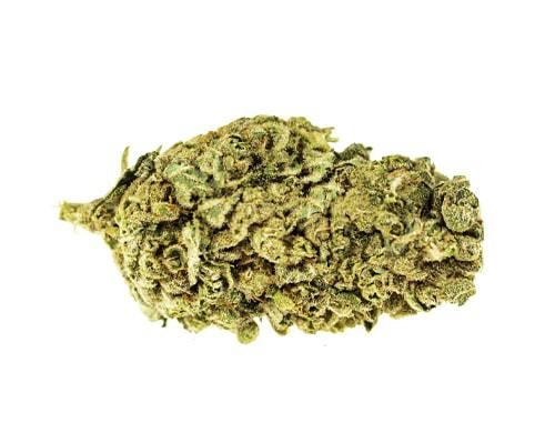 Fiore di Bubblegum | JustBob