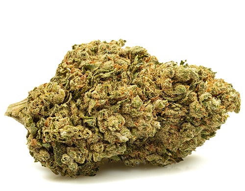 BUBBLEGUM cannabis light