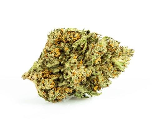 Sweet Berry Cannabis Legale JustBob