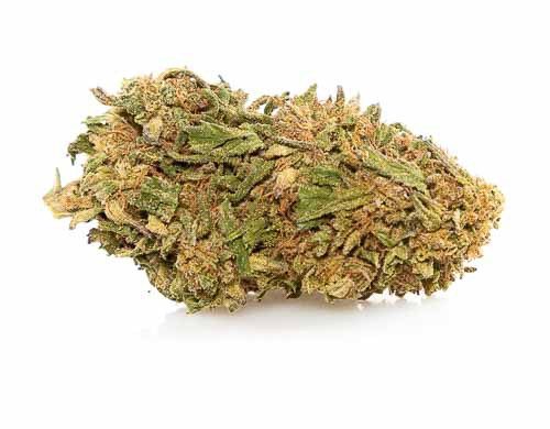 Lemon Cheese Cannabis Light Italia