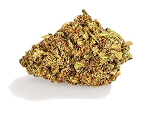 Lemon Cheese Fiore Marihuana