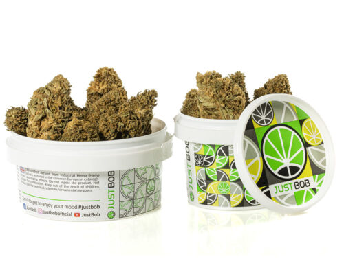 cannabis light lemon cheese in contenitore sigillato per freschezza garantita