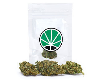 lemon-cheese-weed-marijuana-legale-cannabis-italia lemon-cheese-weed-marijuana-legale-cannabis-italia