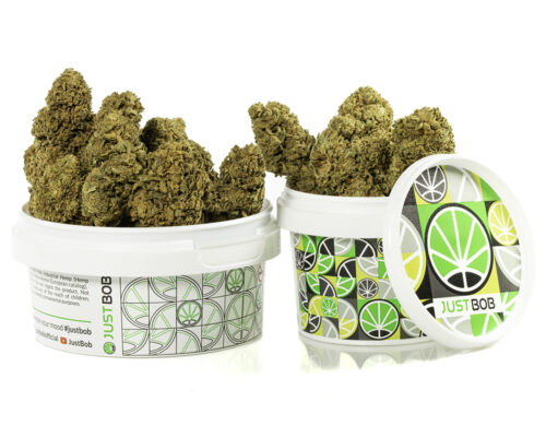 Fiori di Cannabis Light CALIFORNIA HAZE in contenitore bianco