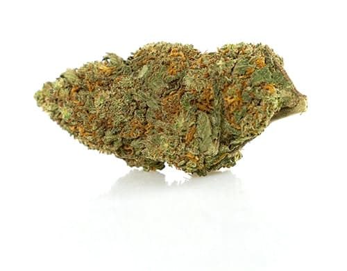 cima di California haze marijuana legale
