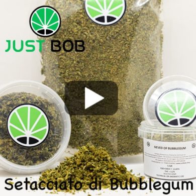 Setacciato-Bubblegum