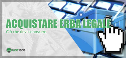 acquistare erba legale online