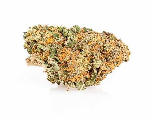 cima di California haze marijuana legale