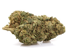 california haze cannabis light