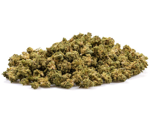 california haze small erba legale