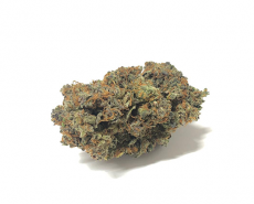 california-haze-weed-marijuana-legale-cannabis-italia california-haze-marijuana-legale-cannabis-italia