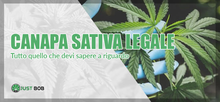 canapa sativa legale