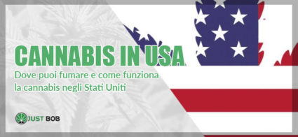 la marijuana negli stati uniti d'america