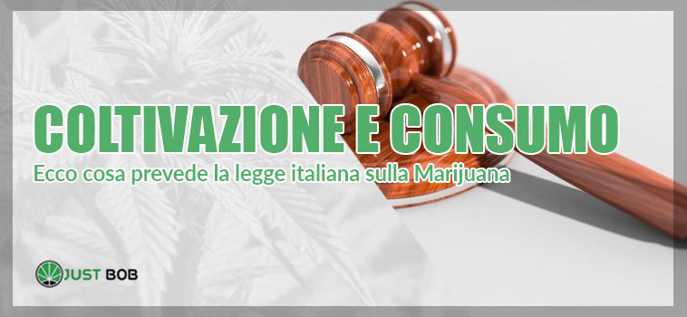 la legge italiana sulla marijuana