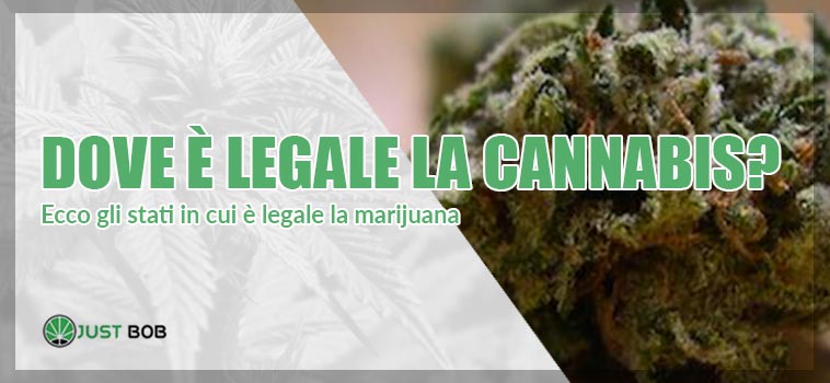 dove e legale la cannabis