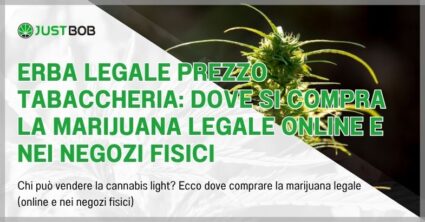 Erba legale prezzo tabaccheria: dove si compra la marijuana legale