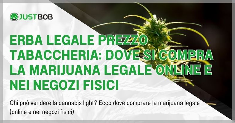 Erba legale prezzo tabaccheria: dove si compra la marijuana legale