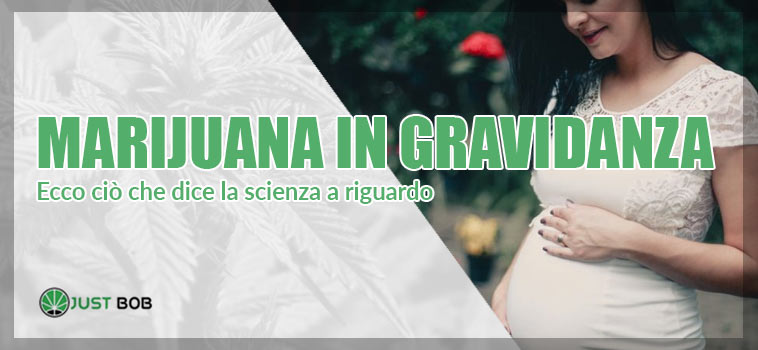 marijuana in gravidanza