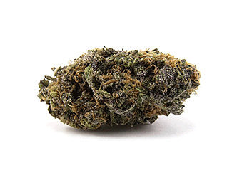 purple-haze purple-haze