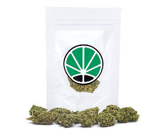 purple-haze-weed purple-haze-weed