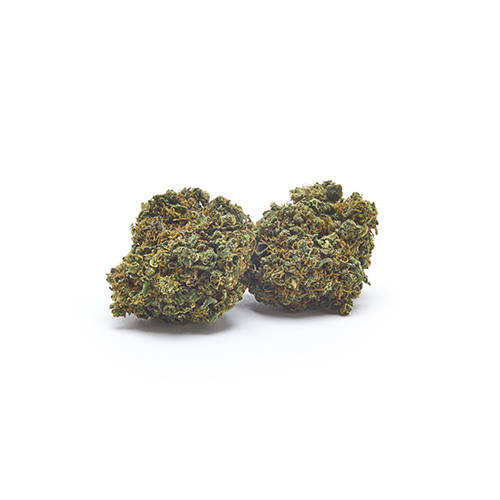 royal-cookies-cannabis-italia-marijuana-legale-erba royal-cookies-cannabis-italia-marijuana-legale-erba