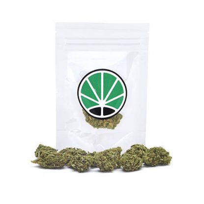 royal-cookies-weed-cannabis-legale-marijuana-italia royal-cookies-weed-cannabis-legale-marijuana-italia