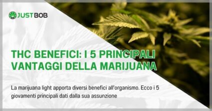 thc benefici : i 5 principali