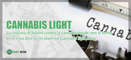 cannabis-light-e-circolare-governo la circolare del viminale sulla cannabis nel 2019