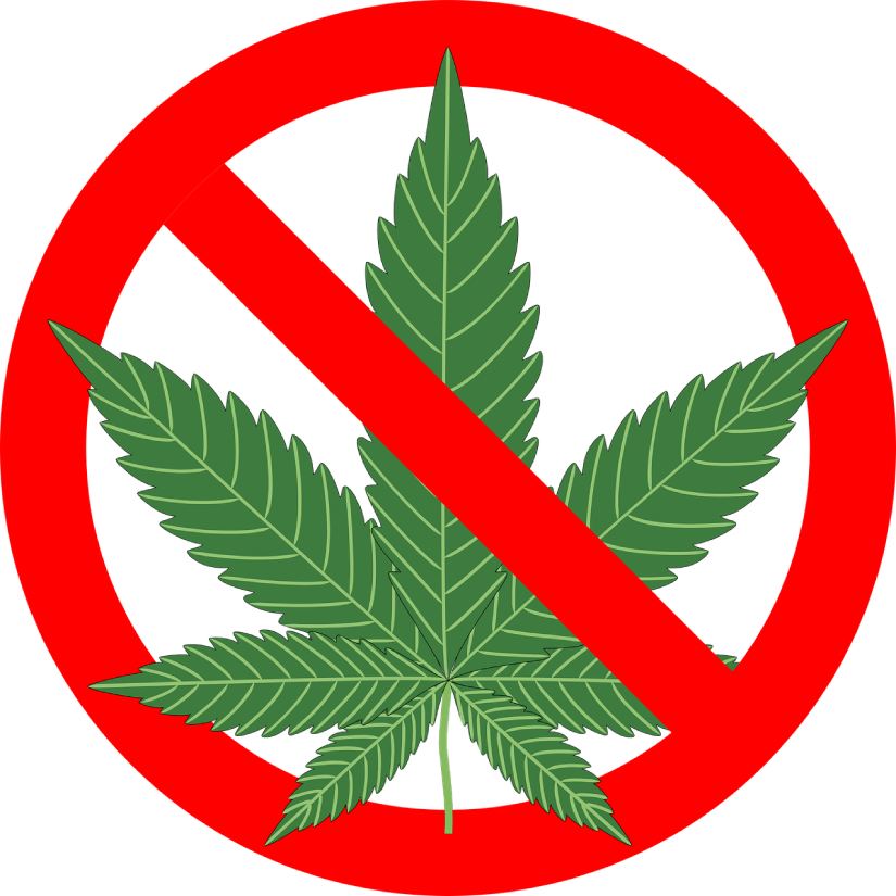 dove è legale la cannabis nel mondo