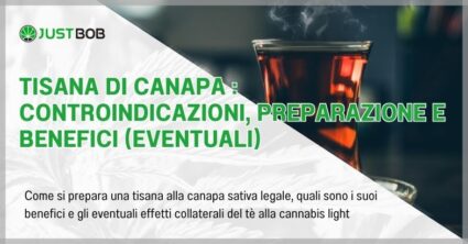 Tisana di canapa : controindicazioni, preparazione e benefici