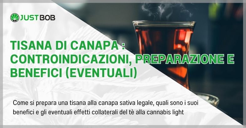 Tisana di canapa : controindicazioni, preparazione e benefici