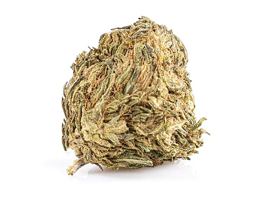 Melon Kush cannabis online