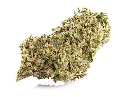 Melon Kush cannabis online