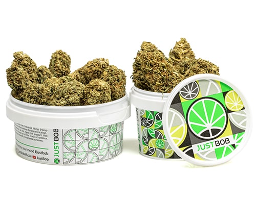 barattolo-cime-MELON KUSH-cannabis-light