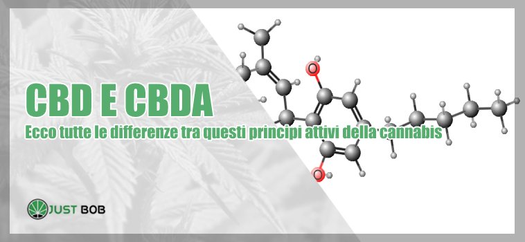 cbd cbda