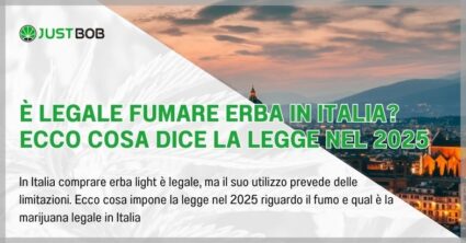 È legale fumare erba in Italia? Ecco cosa dice la legge nel 2025