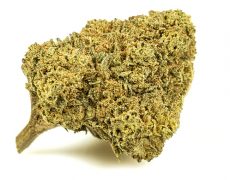 melon-kush-cannabis-light