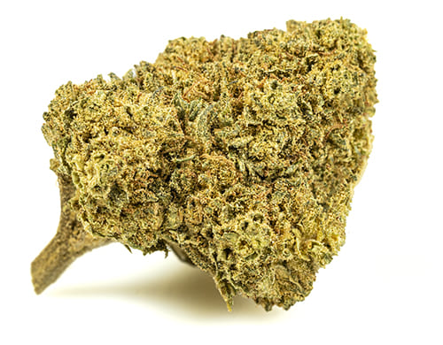 melon-kush-cannabis-light