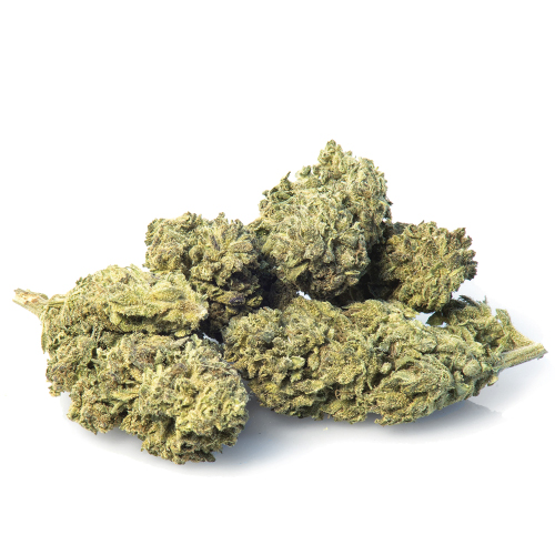 MELON KUSH Cannabis Legale CBD + CBDA > 18 JustBob