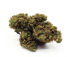 melon-kush-weed melon-kush-weed