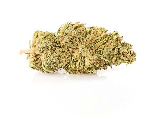 fiore di canapa light melon kush