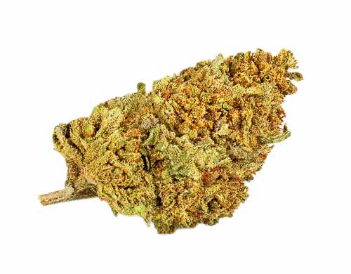 Justbob Cannabis legale