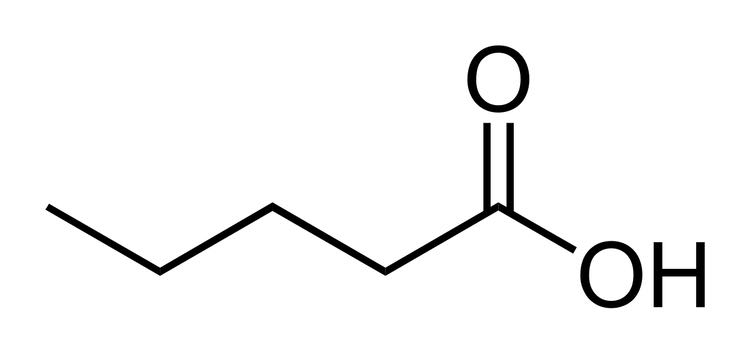 acido isovalverico marijuana cheese