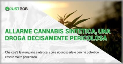 Allarme cannabis sintetica, una droga decisamente pericolosa