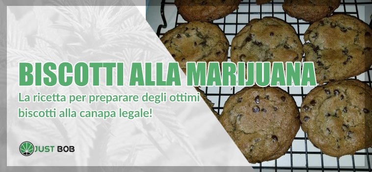 biscotti alla marijuana