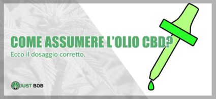 come assumere olio cbd